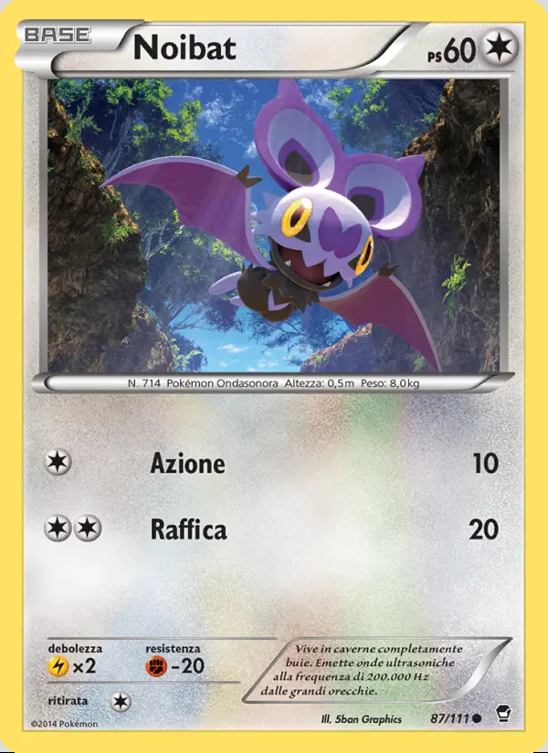 Image of the card Noibat